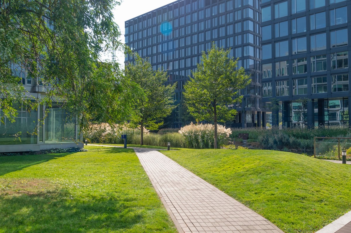 Green plantings among office buildings